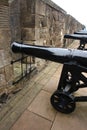 Cannons at Fort