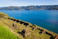 Cannons lined up pointing to the sea in Fort Niebla