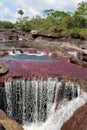 Cano Cristales Pink Waterfall Jungle Royalty Free Stock Photo