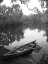 Canoe on the bayou