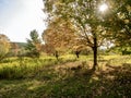 Canoe Creek State Park in Pennsylvania in the early fall with a blue sky and trees and grass along the water Royalty Free Stock Photo