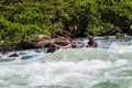 Canoe Dusi Race River Rapids Action Royalty Free Stock Photo