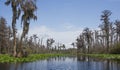 Canoe Kayak Trail Minnies Lake, Okefenokee Swamp National Wildlife Refuge Royalty Free Stock Photo