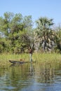 Canoe in the Okavango Delta