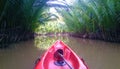 Canoe paddling in the small river surrounded by green leaves, Cathedral of plants Royalty Free Stock Photo