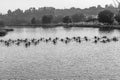 Canoe Race Paddlers River Start Line