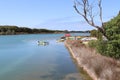 Canoe and river boat hire on a river`s edge