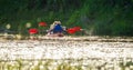 Canoe river Royalty Free Stock Photo