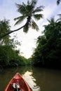 Canoe tour in a Tropical river, palm tree, explore the country