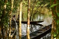 Canoe on the water in the Yasuni Park, Ecuador Royalty Free Stock Photo