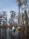 Canoeing in Manchac Swamp