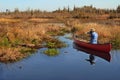 Canoeist Photographing an Alligator Royalty Free Stock Photo