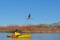 Canoeist on scenic lake Royalty Free Stock Photo