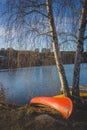 Canoes and Birch Trees Royalty Free Stock Photo