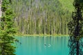 Canoe on Emerald Lake Yoho Canada Royalty Free Stock Photo