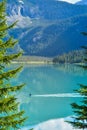 Kayak on Emerald Lake Yoho Canada Royalty Free Stock Photo