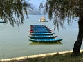 canoes lined up on the side of the lake Royalty Free Stock Photo