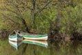 Arcachon Bay, France. Canoes on the river Leyre, also called the Little Amazon Royalty Free Stock Photo