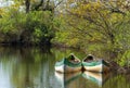 Arcachon Bay, France. Canoes on the river Leyre, also called the Little Amazon Royalty Free Stock Photo