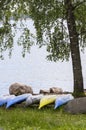 Canoes in row under the tree