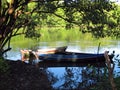 Canoes in the trees Royalty Free Stock Photo