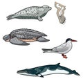 Vector Sea creatures-7