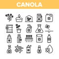 Canola Agricultural Collection Icons Set Vector