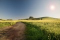 Canola Field Royalty Free Stock Photo