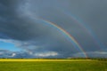 Canola Field Royalty Free Stock Photo