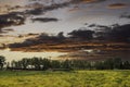 Canola field near a farm on the Canadian prairies in Southern Alberta. Royalty Free Stock Photo