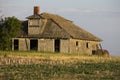 Canola Field Saskatchewan Royalty Free Stock Photo