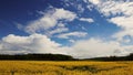 Canola field & stormy summer sky time lapse