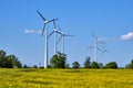 Canola field with wind turbines Royalty Free Stock Photo