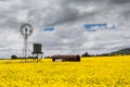 Canola Fields Near Smeaton