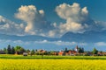 Canola fields and rural landscape with high mountains,Transylvania,Romania Royalty Free Stock Photo
