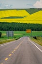 Canola flower field in mountains Royalty Free Stock Photo