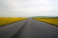 Canola flower fields Royalty Free Stock Photo