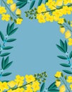 Frame with flowers of canola