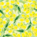 Canola flowers seamless pattern