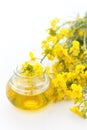 Canola oil Royalty Free Stock Photo