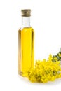 Canola oil & rapeseed flowers Royalty Free Stock Photo