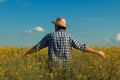 Canola rapeseed farmer looking over cultivated field in bloom Royalty Free Stock Photo