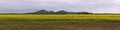 Canola and You Yangs Royalty Free Stock Photo