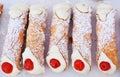 Canolli Royalty Free Stock Photo