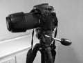 Canon EOS 7D with 75-300 Lens