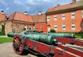 Canons in the garden of Gripsholm Castle Royalty Free Stock Photo