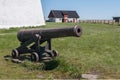 Canons in the north of Oland, Sweden. selective focus