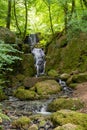 Canonteign Falls in Dartmoor