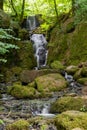 Canonteign Falls in Dartmoor