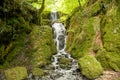 Canonteign Falls in Dartmoor